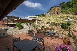 Villa with vineyards and olive groves