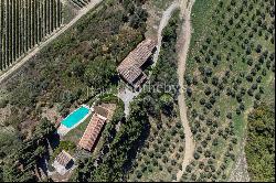 Outstanding wine estate in San Gimignano