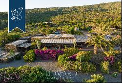 Eight typical buildings made of lava stone with pools inside a private area with gardens