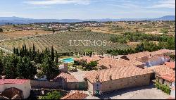 Selling: secular property with olive grove, chapel, garden and pool, Mirandela, North Por