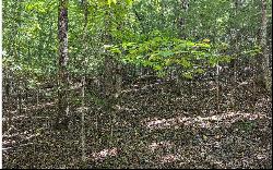 Twin Springs Road, Mineral Bluff GA 30559