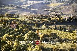 Tuscany - WINE ESTATE WITH 31 HECTARES OF VINEYARDS FOR SALE IN MONTEPULCIANO