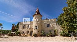 Majestic Chateau with guest house & 2 acres of land, close to Agen