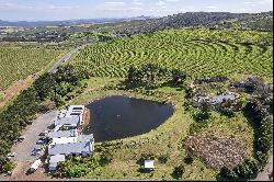 Nitida Wine Farm Development land, Tygerberg Valley Street, Durbanville, Western Cape, 7550