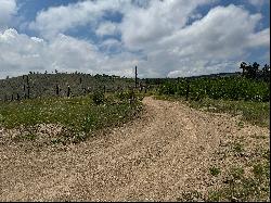 Amazing Views From This 4.64 Acre Lot in Gold Hill