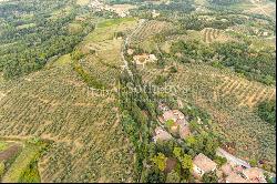 Exceptional 300 hectares hunting and wine estate