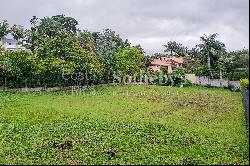 Lote 303, Ave del Paraíso