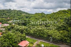 Commercial Land for Sale in the Main Road to El Coco Beach