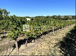 For sale at Duras, Renowned vineyard estate