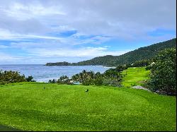 1 Paradise Lane, Virgin Gorda