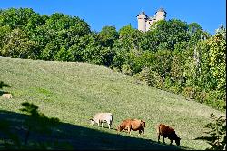 MILLAU