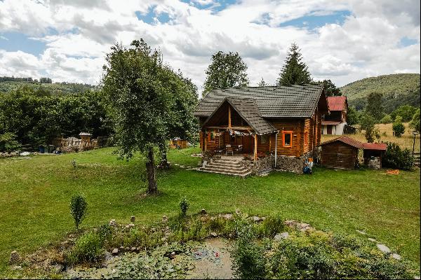 Log cabin surrounded by forest