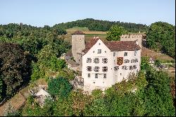 •	Wildenstein Castle