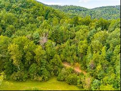 1.6 Acre Old Pond Trl #221-224, 226, Fancy Gap VA 24328