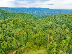 1.6 Acre Old Pond Trl #221-224, 226, Fancy Gap VA 24328