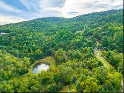 1.6 Acre Old Pond Trl #221-224, 226, Fancy Gap VA 24328