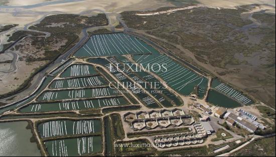 Property for sale in Ria Formosa, Algarve