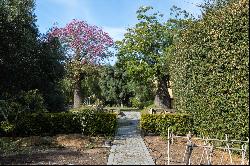 Completely renovated 19th century farmhouse in Cabrera de Mar.