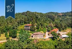 Stunning farmstead with endless expanses of forests a few minutes from Florence's city cen