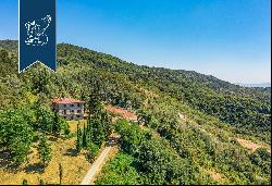 Stunning farmstead with endless expanses of forests a few minutes from Florence's city cen