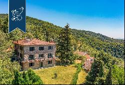 Stunning farmstead with endless expanses of forests a few minutes from Florence's city cen