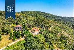 Stunning farmstead with endless expanses of forests a few minutes from Florence's city cen