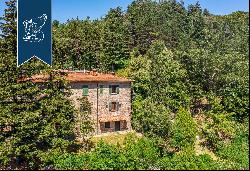 Stunning farmstead with endless expanses of forests a few minutes from Florence's city cen