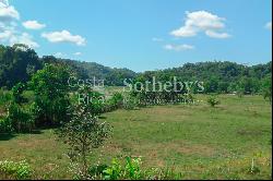 427 Acre Farm Land for Development