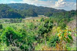 427 Acre Farm Land for Development