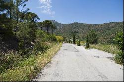 Plot with sea views near Port de la Selva