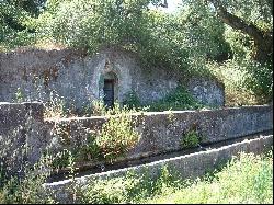 Homestead with 100 Hectares