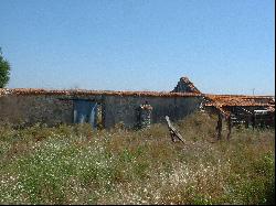 Homestead with 100 Hectares