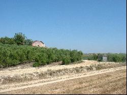 Homestead with 50 Hectares