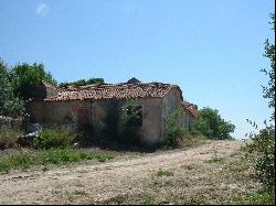 Homestead with 50 Hectares