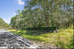 Foxtail Avenue, Middleburg FL 32068