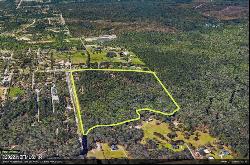 Foxtail Avenue, Middleburg FL 32068