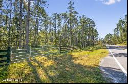 Foxtail Avenue, Middleburg FL 32068