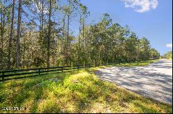 Foxtail Avenue, Middleburg FL 32068