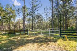 Foxtail Avenue, Middleburg FL 32068