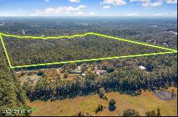 Foxtail Avenue, Middleburg FL 32068