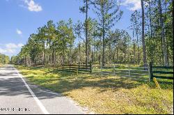 Foxtail Avenue, Middleburg FL 32068