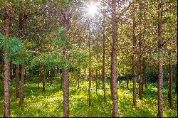 Land plot surrounded by greenery in Vilnius city