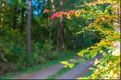 Land plot surrounded by greenery in Vilnius city