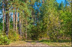 Land plot surrounded by greenery in Vilnius city