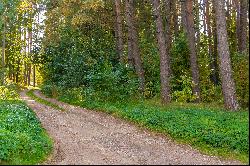 Land plot surrounded by greenery in Vilnius city