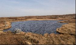 Sandside Hill, Reay, Thurso, Caithness, KW14 7RN