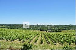 Elegant Farmhouse + vineyard views near St Emilion