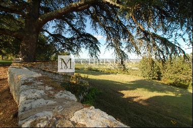 For sale Bergerac - Superb, well-kept vineyard estate with over 60 ha of organically grow