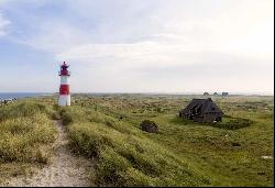 Biggest project in List brings luxury homes to Sylt, indulge in nature heaven