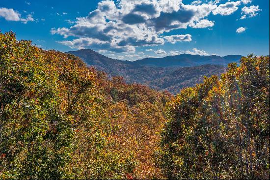 FRENCH BROAD CROSSING-MARSHALL